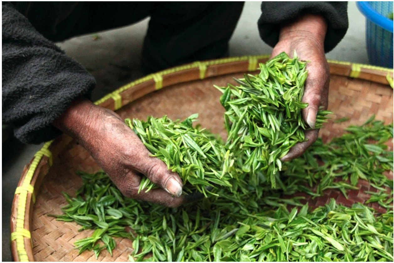 click here to watch video