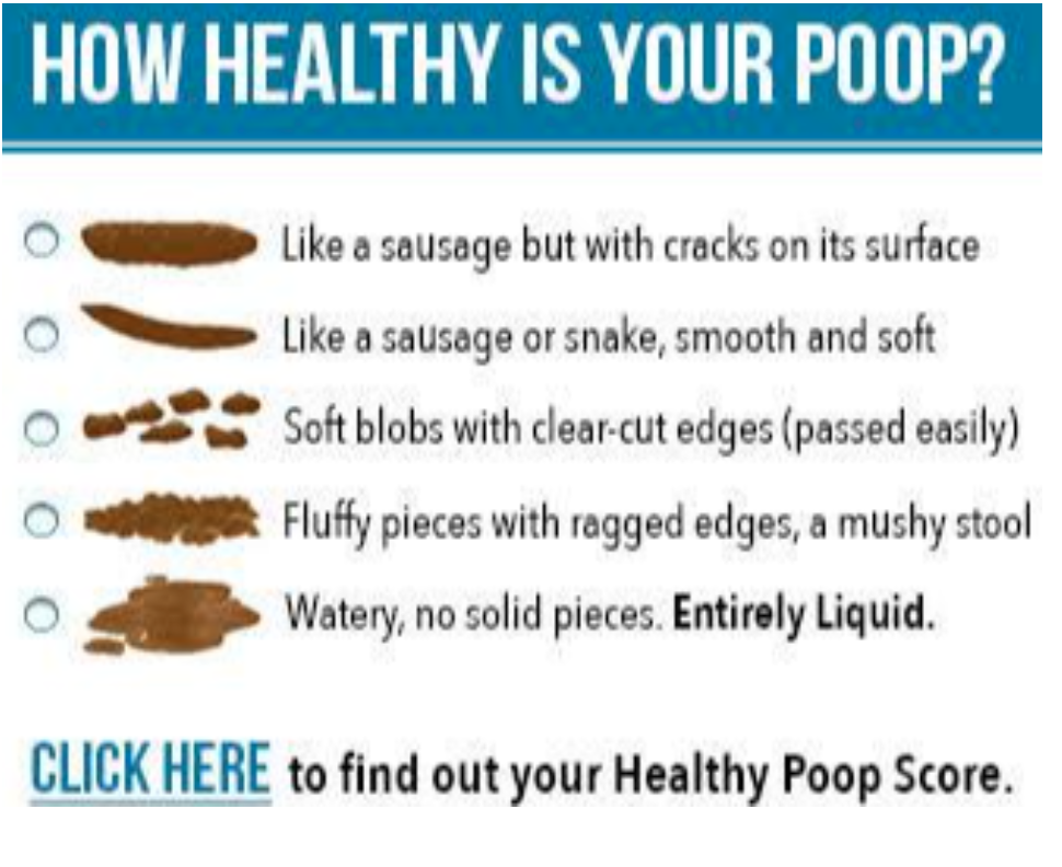 click here to watch video