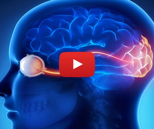 click here to learn more