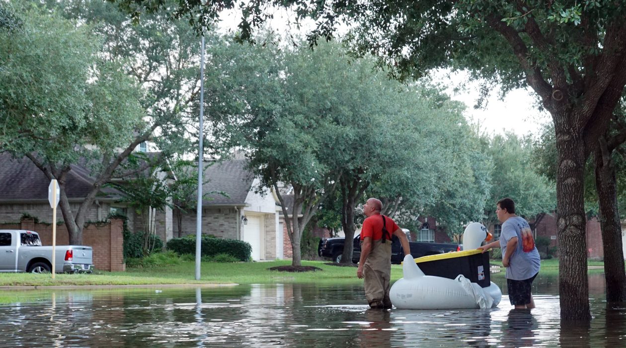 Prepping: A Comprehensive Guide to Preparedness in Uncertain Times