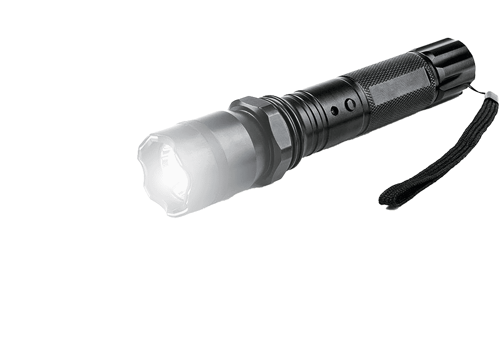 StrikeForce Flashlight Stun Gun
