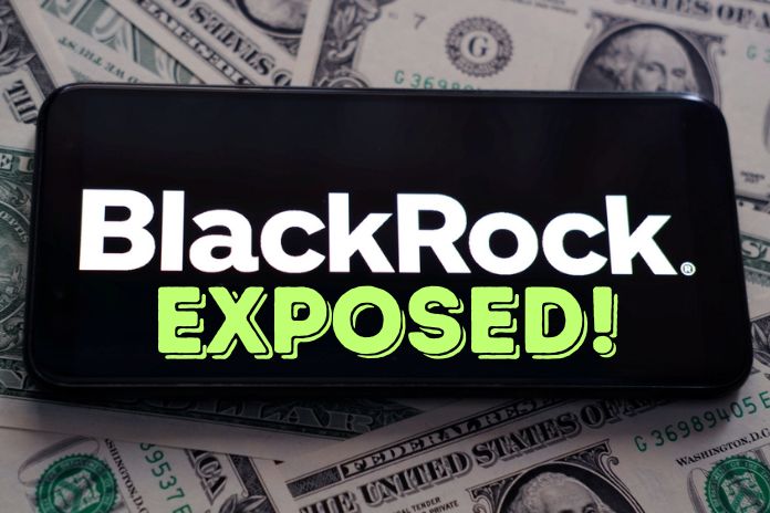 (VIDEO) BlackRock Recruiter EXPOSES Company's Dark 'Insider Secrets'