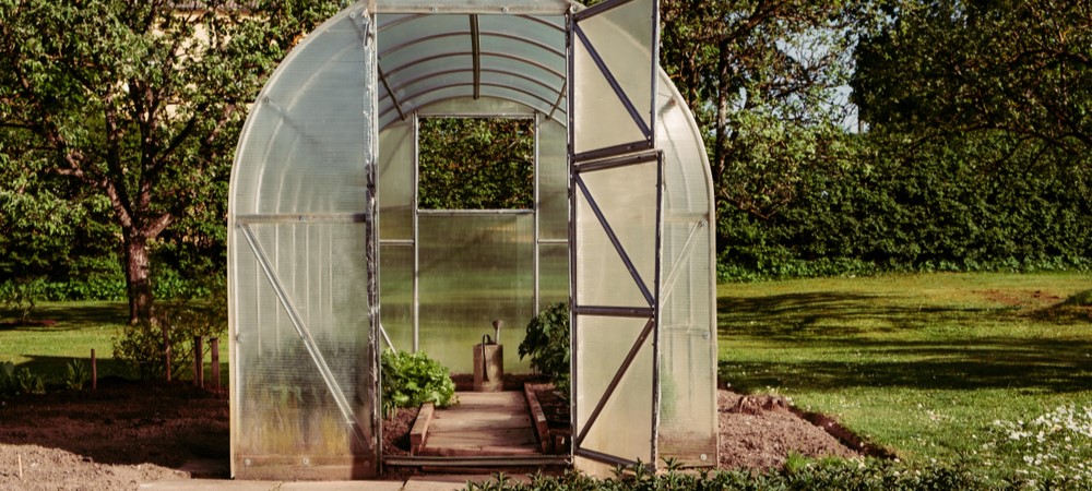 Cultivate on a Budget: Affordable Methods for Building a Backyard Greenhouse