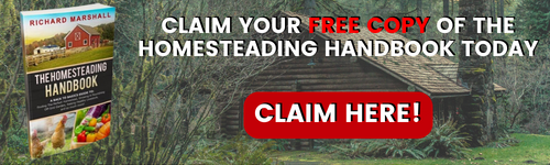 Homesteading Handbook