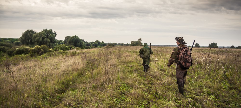 Tracking Summer Prey: Best Animals to Hunt in July Across America
