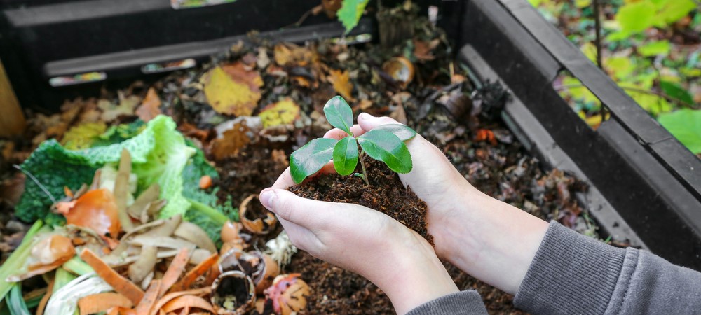 How to Start an Off-the-Grid Compost Garden for Families
