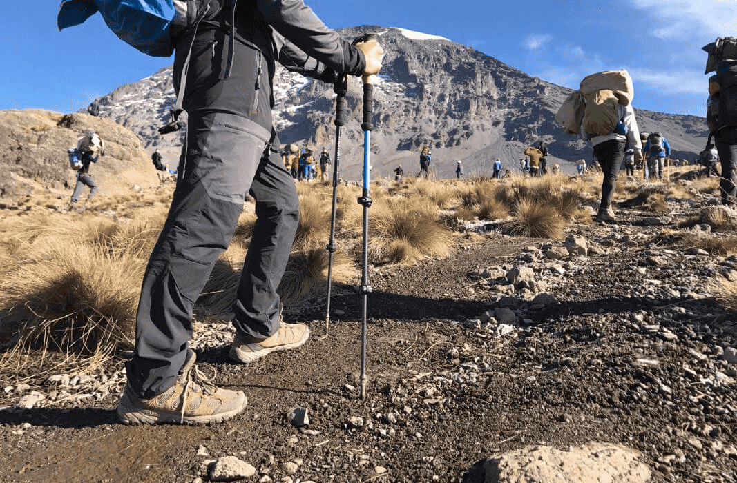 The Pros & Cons of Trekking Poles