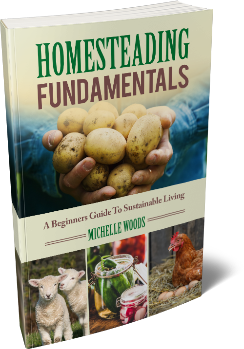 Homesteading Fundamentals Book