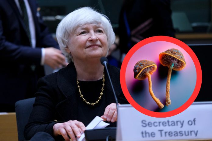 Treasury Sec. Janet Yellen Ate 'MAGIC' Mushrooms In China