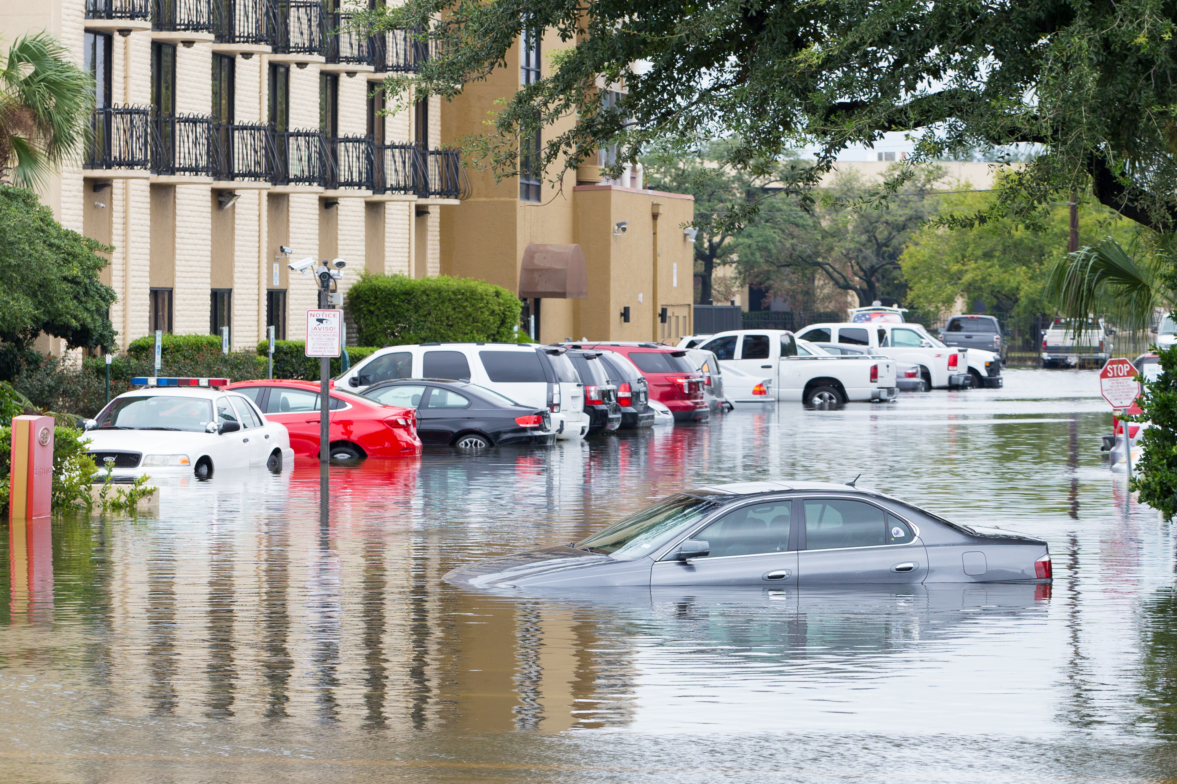 After the Hurricane Hits: SHTF Survival Tips to Keep Your Family Safe