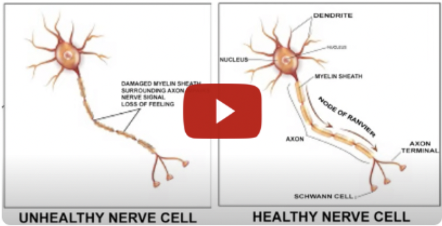 click here to learn more