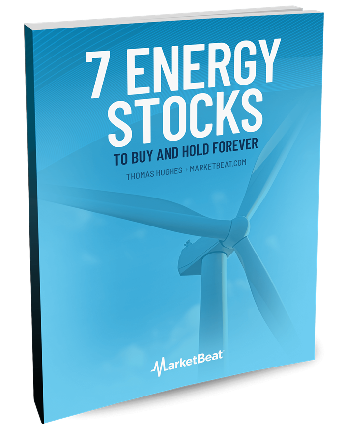 7 Energy Stocks to Buy and Hold Forever cover image