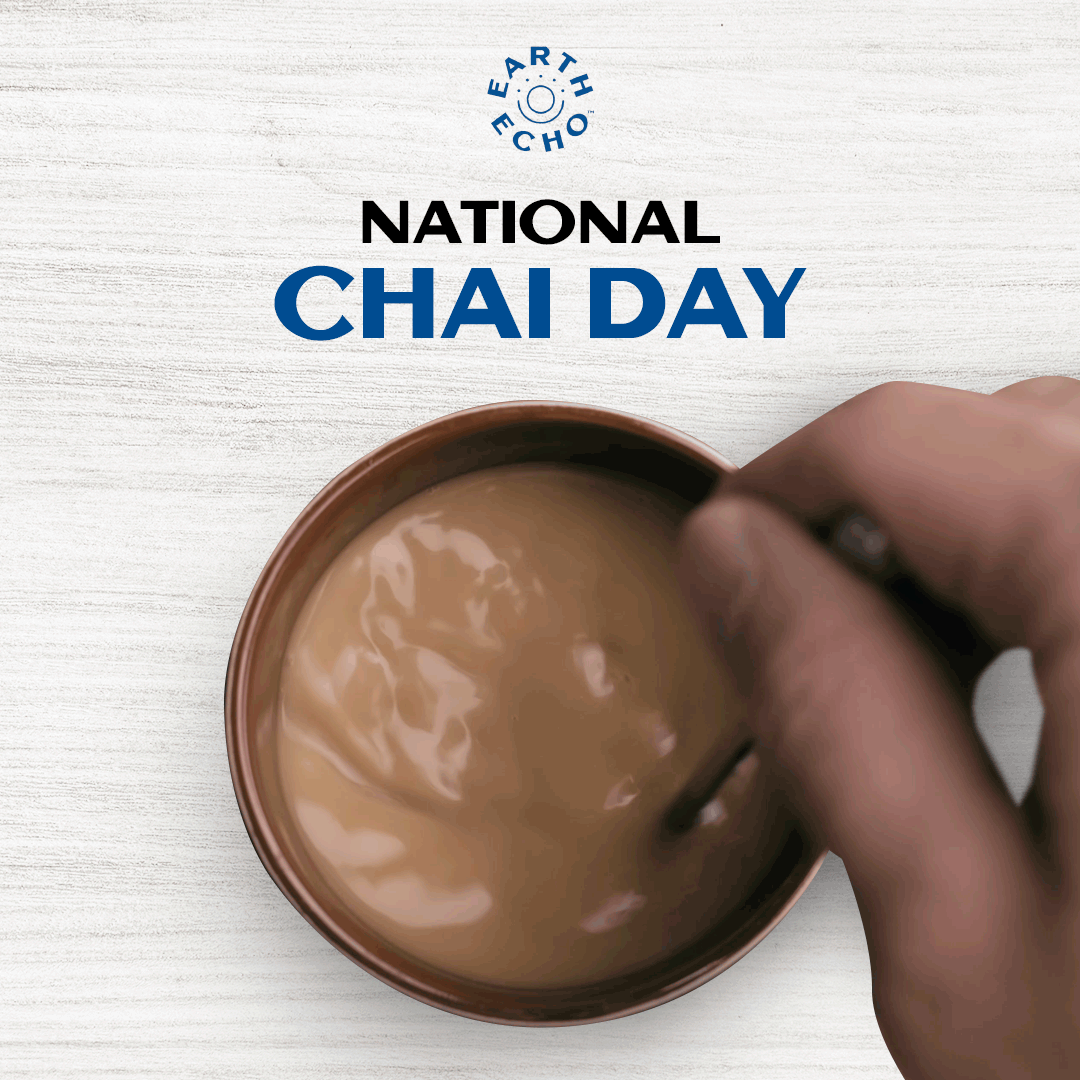Celebrate National Chai Day! Earth Echo Foods