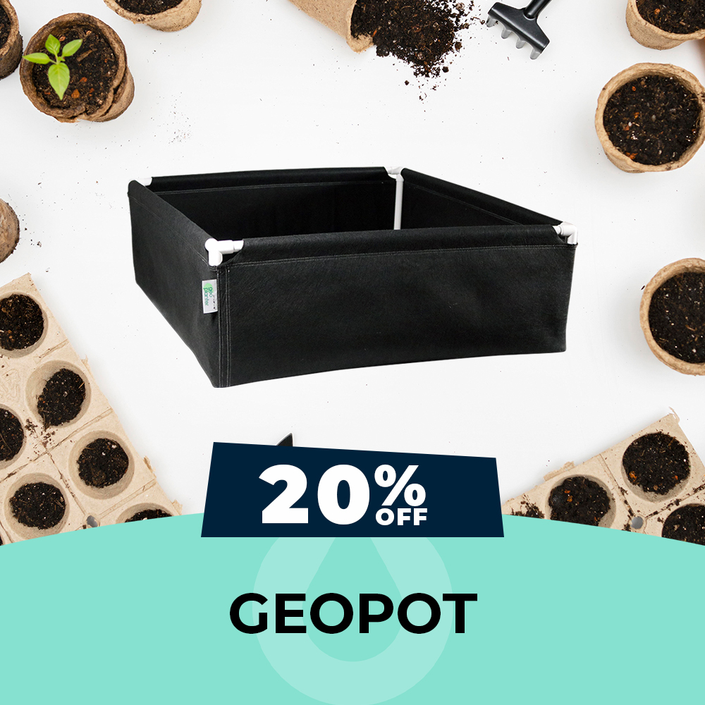 Geopot Pots - 20% OFF, Hydro Experts