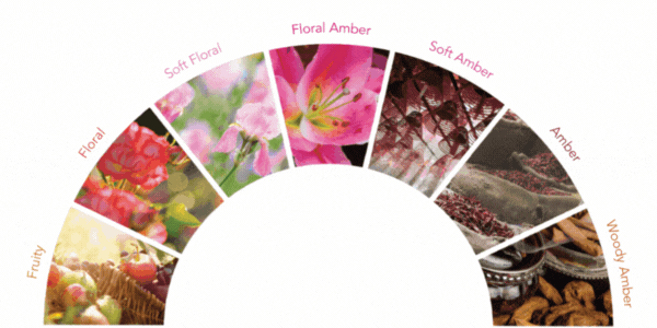 Guaranteed Authenticity