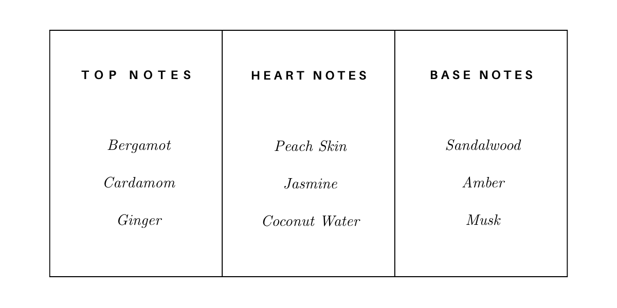 Fragrance Notes | City Perfume | Shop Now
