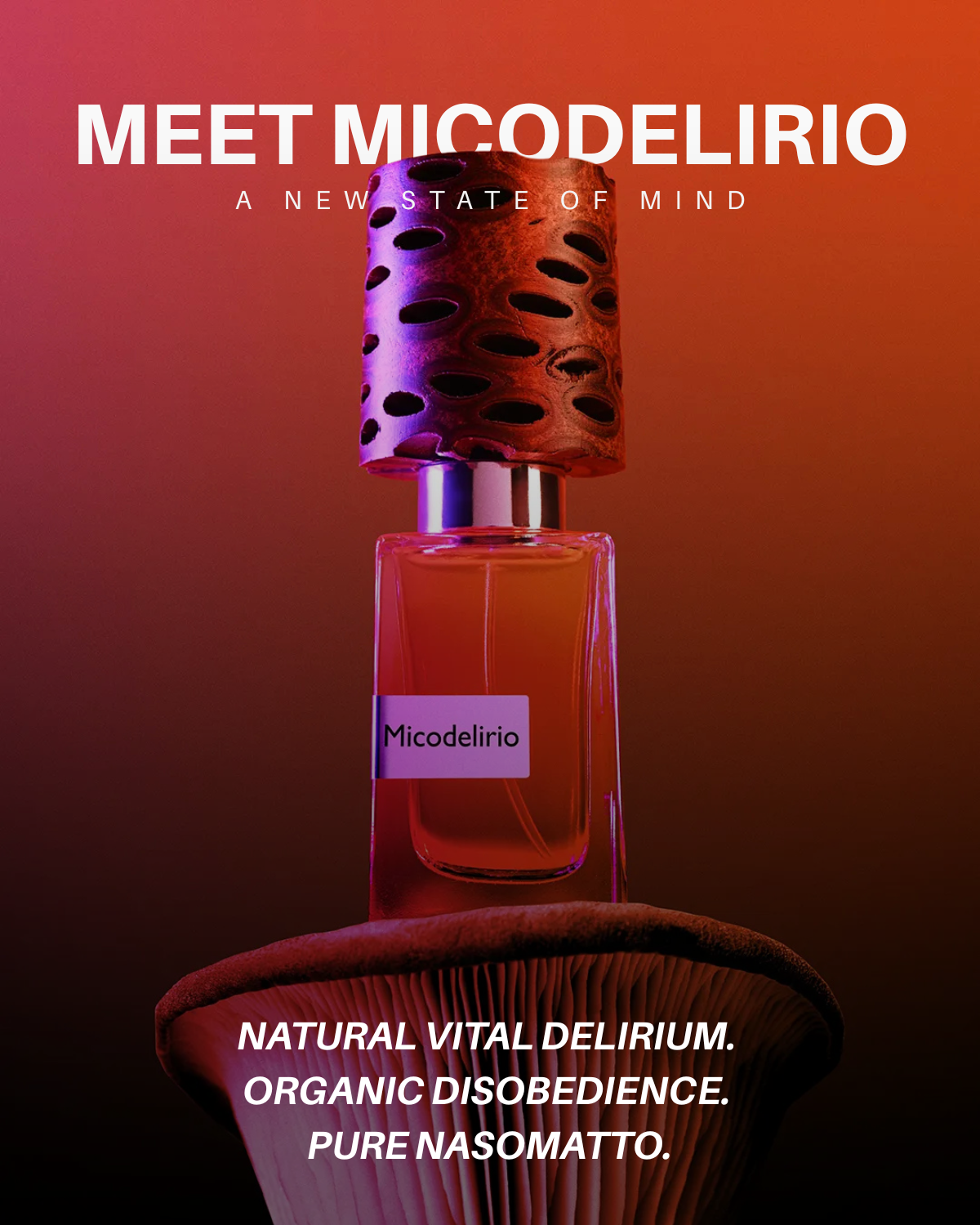 Meet Micodelirio | City Perfume | Shop Now