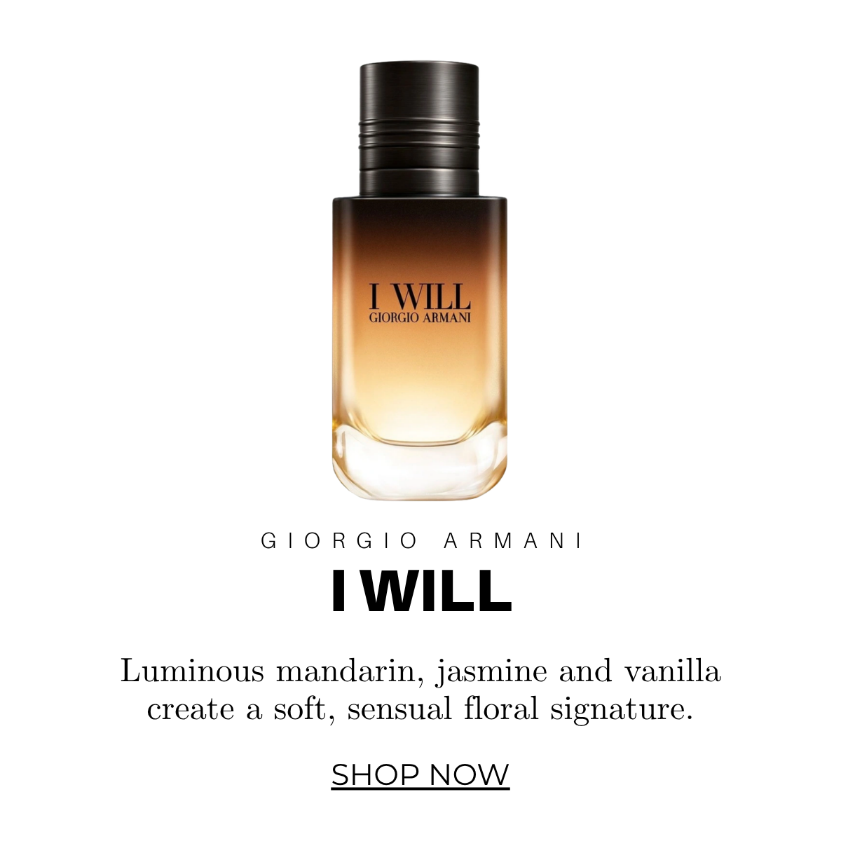 Giorgio Armani I Will EDP 100ml | City Perfume | Shop Now