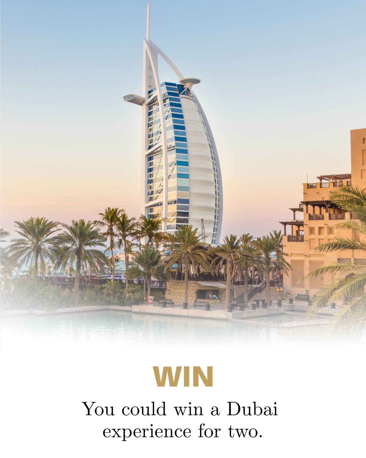 Piani Chocolate Australia | Win a trip for two | Buy Now