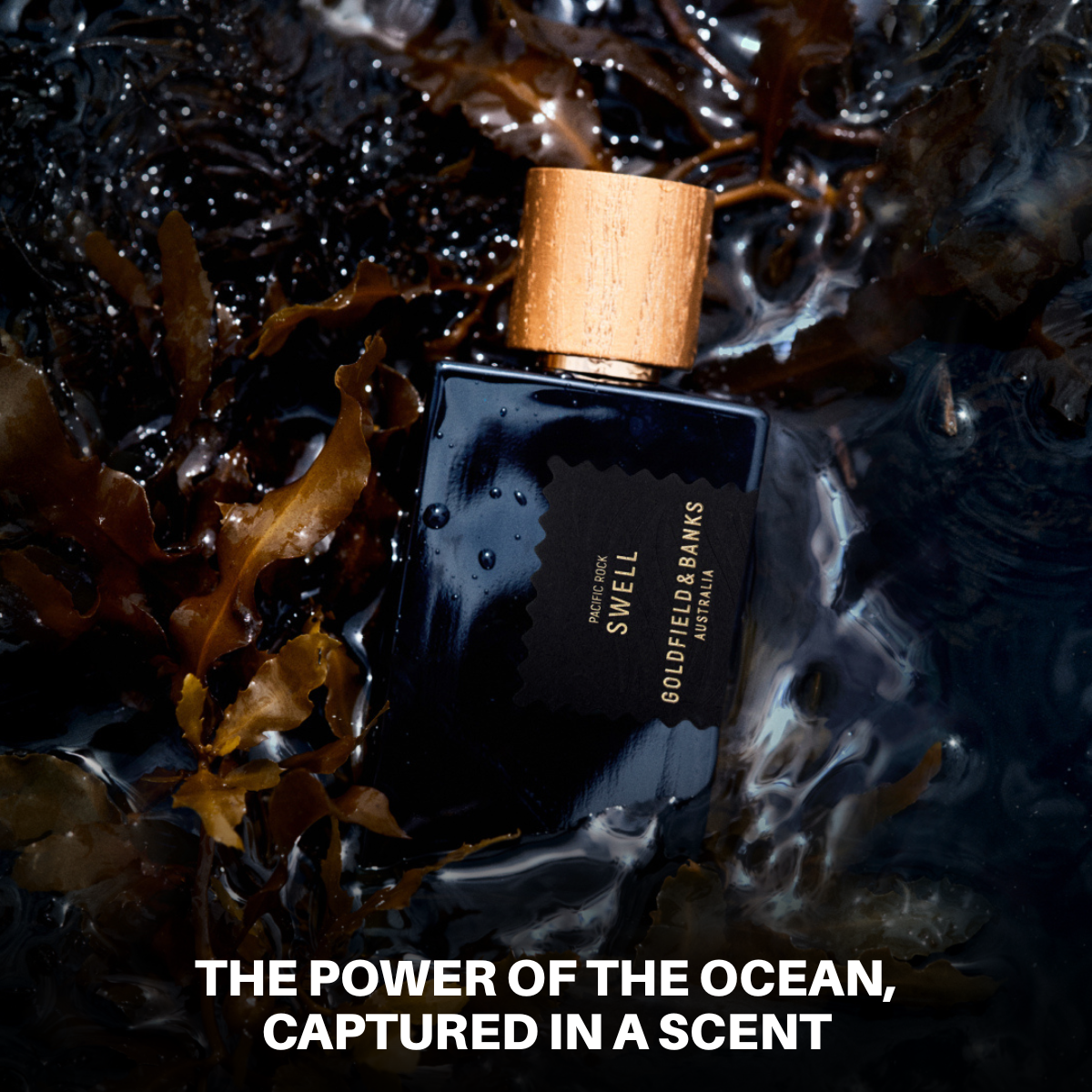 Goldfield & Banks Pacific Rock Swell | Shop Now at City Perfume
