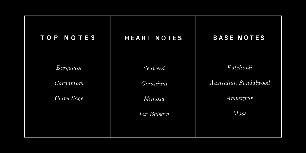 Fragrance Notes | Shop Now at City Perfume