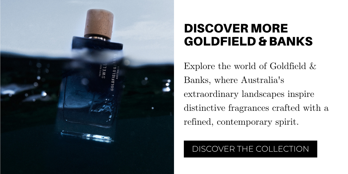 Discover the collection | Shop Now at City Perfume