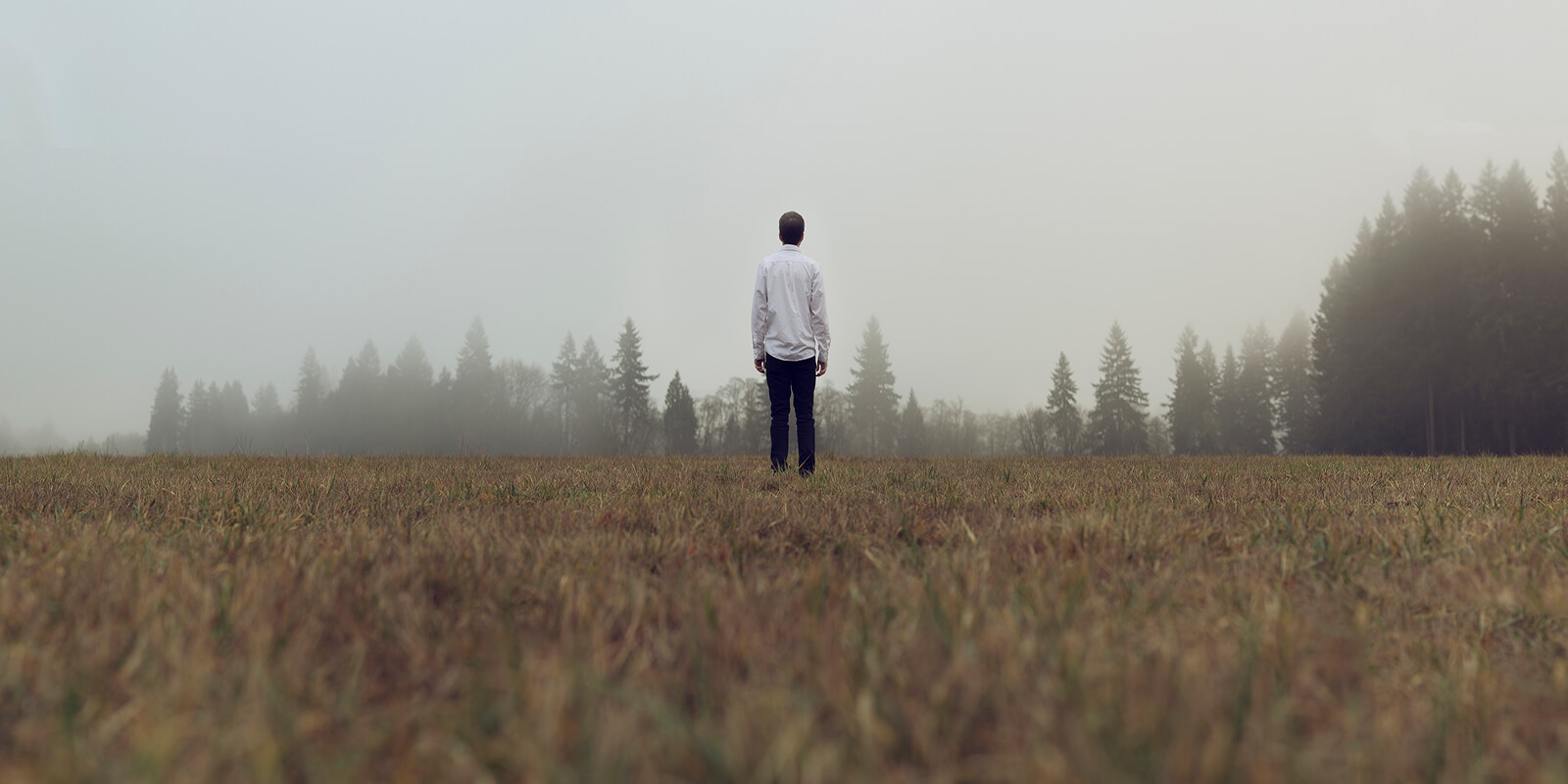 The Techniques Manipulators LOVE, And How To Avoid Them
