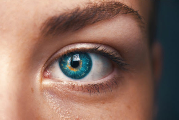 7 Nutrients + 50 Foods That Help Improve Eyesight